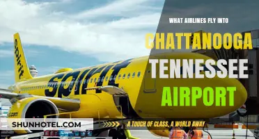 Airlines Serving Chattanooga: Your Guide to Chattanooga Airport Flights