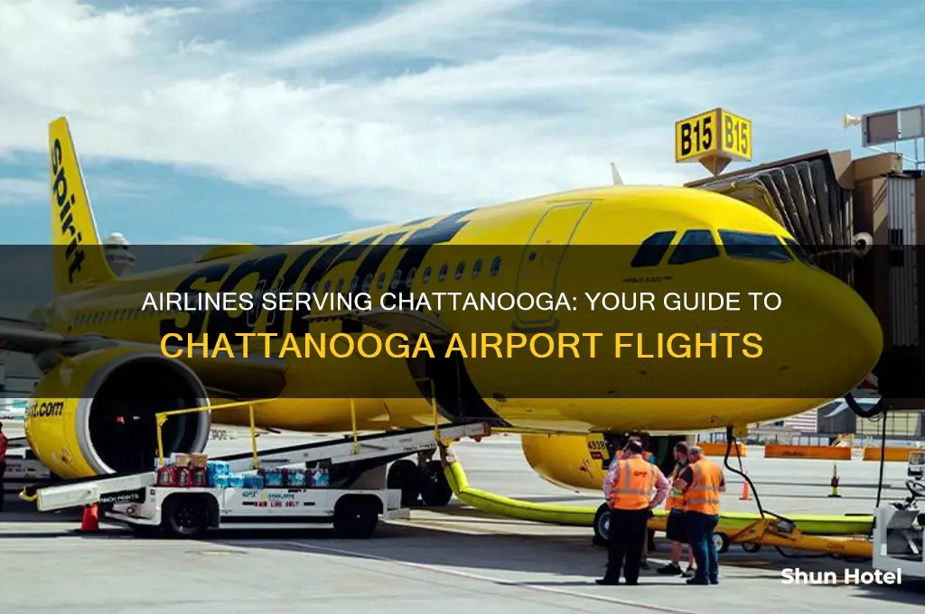 what airlines fly into chattanooga tennessee airport