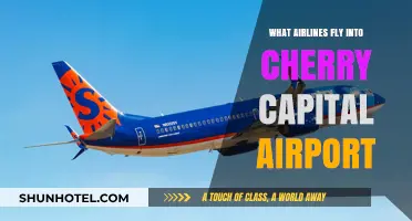 Airlines Serving Cherry Capital Airport: Your Complete Flight Guide
