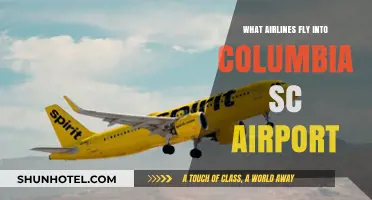 Airlines Serving Columbia SC Airport: Your Complete Flight Guide