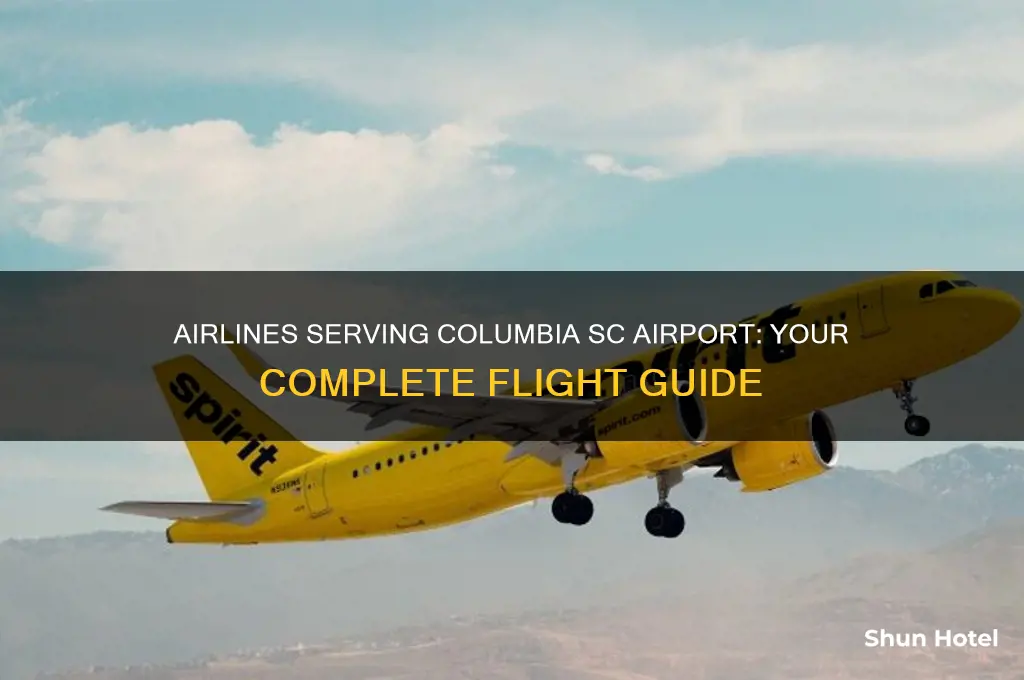 what airlines fly into columbia sc airport