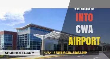 Airlines Serving CWA Airport: Your Complete Guide to Flights