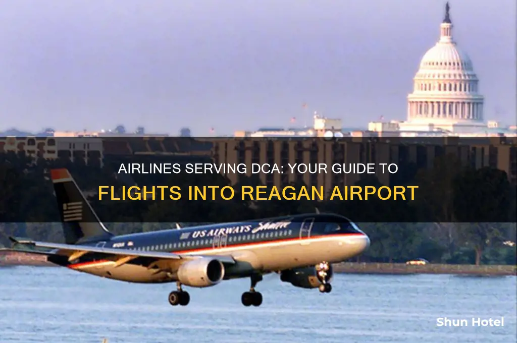 what airlines fly into dca airport