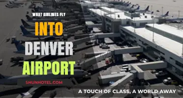 Airlines Serving Denver: Your Guide to Flights into DEN