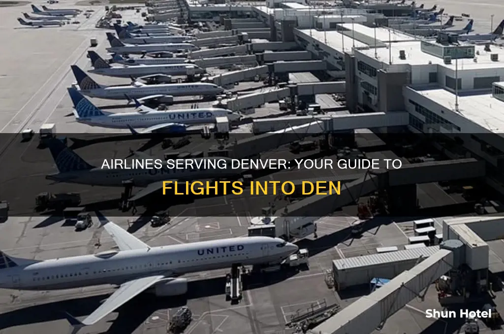 what airlines fly into denver airport