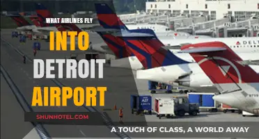 Airlines Serving Detroit: Your Guide to Flights into DTW