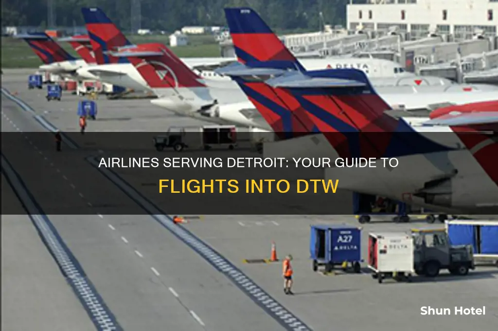 what airlines fly into detroit airport