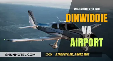 Airlines Serving Dinwiddie VA Airport: Your Comprehensive Flight Guide