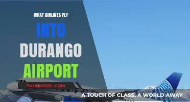 Airlines Serving Durango Airport: Your Comprehensive Flight Guide
