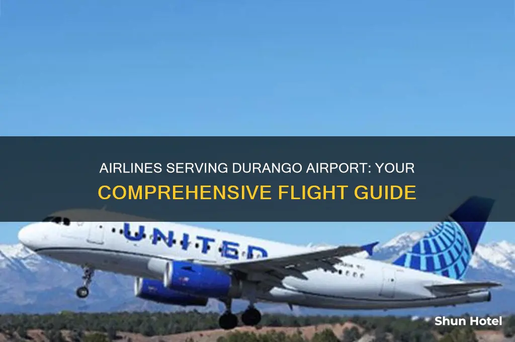 what airlines fly into durango airport