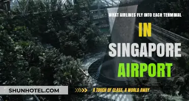 Singapore Airport Terminal Guide: Which Airlines Fly Where?