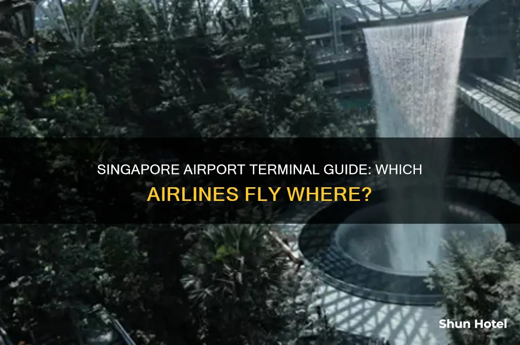 what airlines fly into each terminal in singapore airport