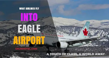 Airlines Serving Eagle Airport: Your Complete Guide to Flights and Carriers