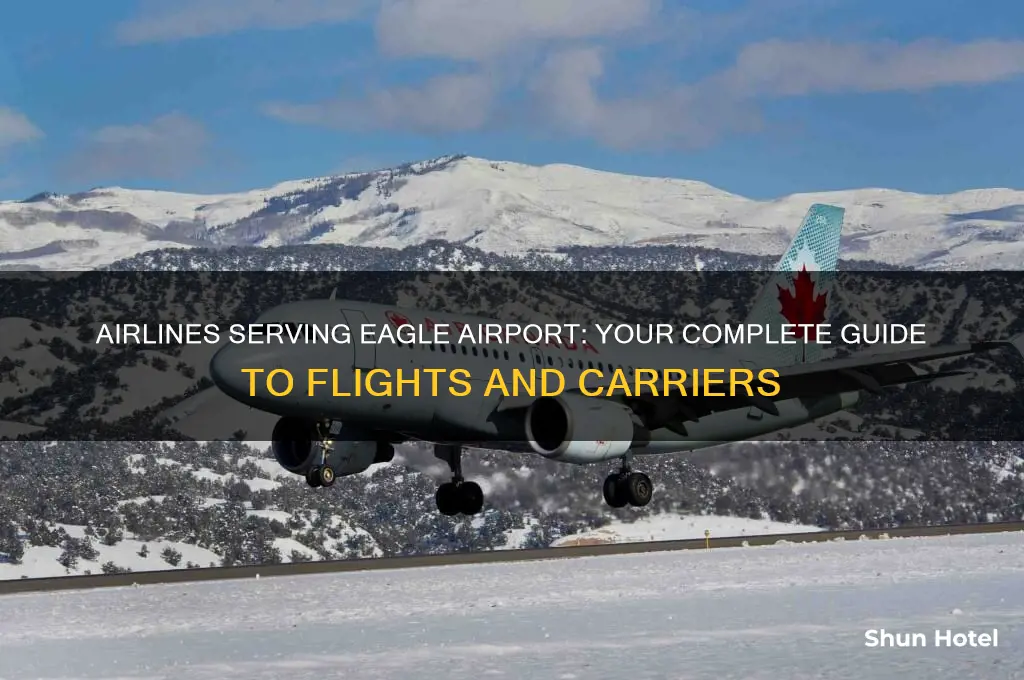 what airlines fly into eagle airport