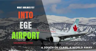 Airlines Serving EGE Airport: Your Complete Guide to Flights