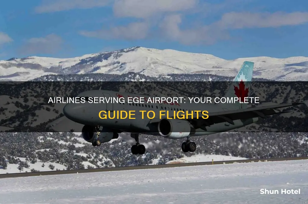 what airlines fly into ege airport