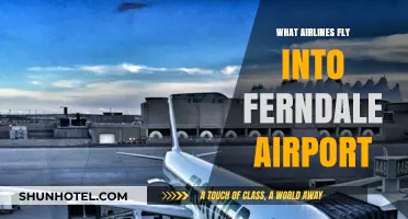 Airlines Serving Ferndale Airport: Your Comprehensive Flight Guide