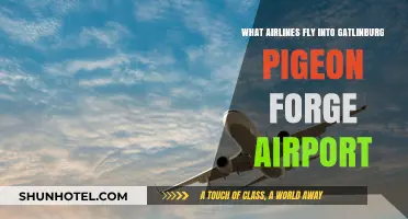 Airlines Serving Gatlinburg Pigeon Forge Airport: Your Travel Guide