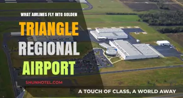 Airlines Serving Golden Triangle Regional Airport: Your Complete Guide