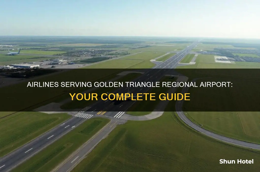 what airlines fly into golden triangle regional airport