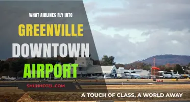 Airlines Serving Greenville Downtown Airport: Your Complete Flight Guide