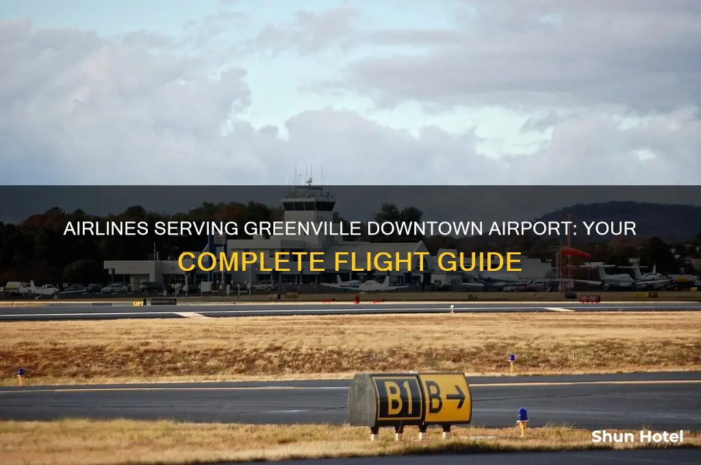 what airlines fly into greenville downtown airport