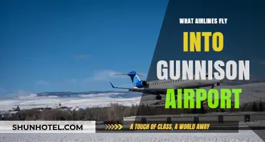 Airlines Serving Gunnison Airport: Your Complete Flight Guide