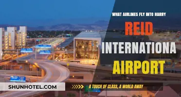 Airlines Serving Harry Reid International Airport: Your Complete Guide