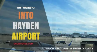 Discover Airlines Serving Hayden Airport: Your Ultimate Travel Guide