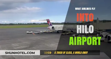 Airlines Serving Hilo Airport: Your Complete Guide to Flights
