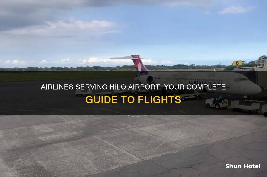 what airlines fly into hilo airport