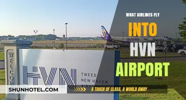 Discover Airlines Serving HVN Airport: Your Comprehensive Flight Guide