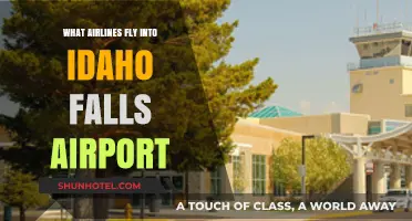 Airlines Serving Idaho Falls Airport: Your Comprehensive Flight Guide