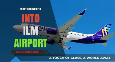 Airlines Serving ILM Airport: Your Complete Guide to Flights