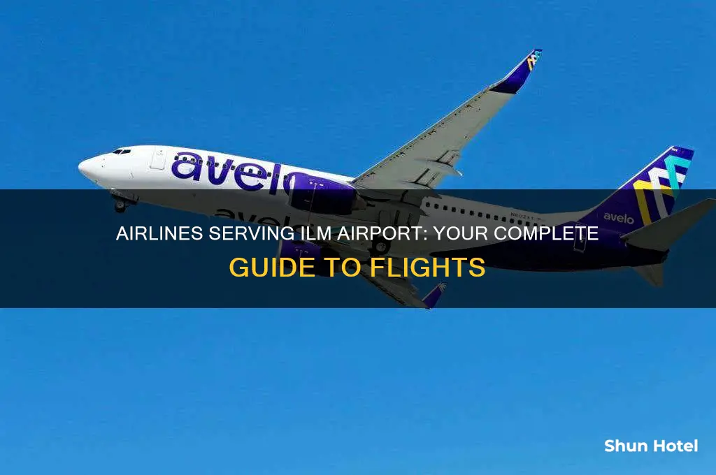 what airlines fly into ilm airport