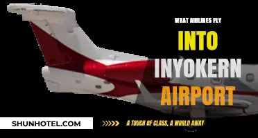 Airlines Serving Inyokern Airport: Your Comprehensive Flight Guide
