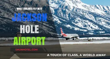 Airlines Serving Jackson Hole Airport: Your Ultimate Travel Guide