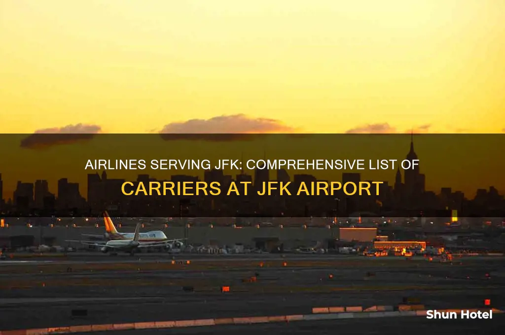 what airlines fly into jfk airport