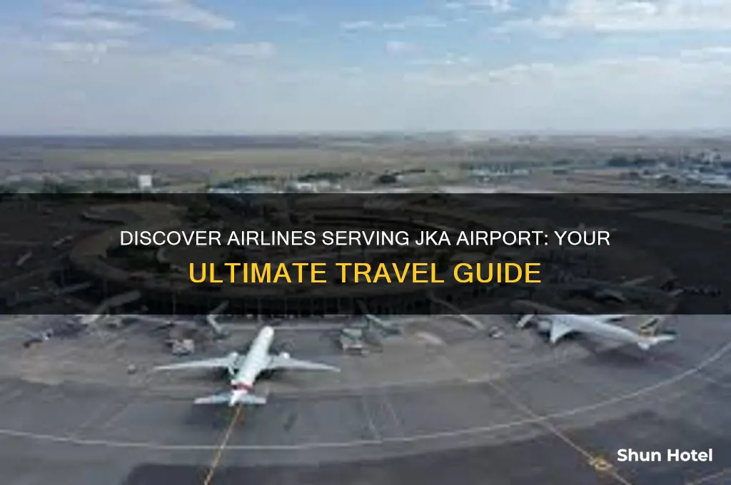 what airlines fly into jka airport