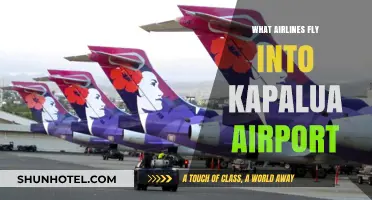 Airlines Serving Kapalua Airport: Your Ultimate Travel Guide to Maui