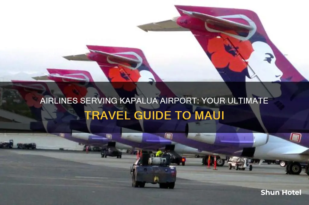 what airlines fly into kapalua airport