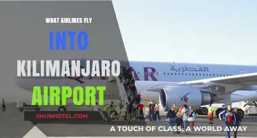 Airlines Serving Kilimanjaro Airport: Your Gateway to Tanzania's Adventure Hub