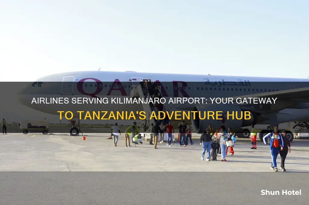 what airlines fly into kilimanjaro airport