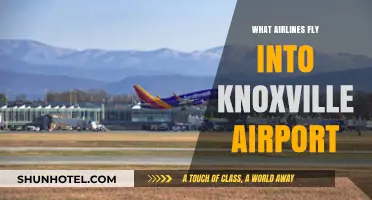 Airlines Serving Knoxville: Your Guide to Flights into TYS Airport