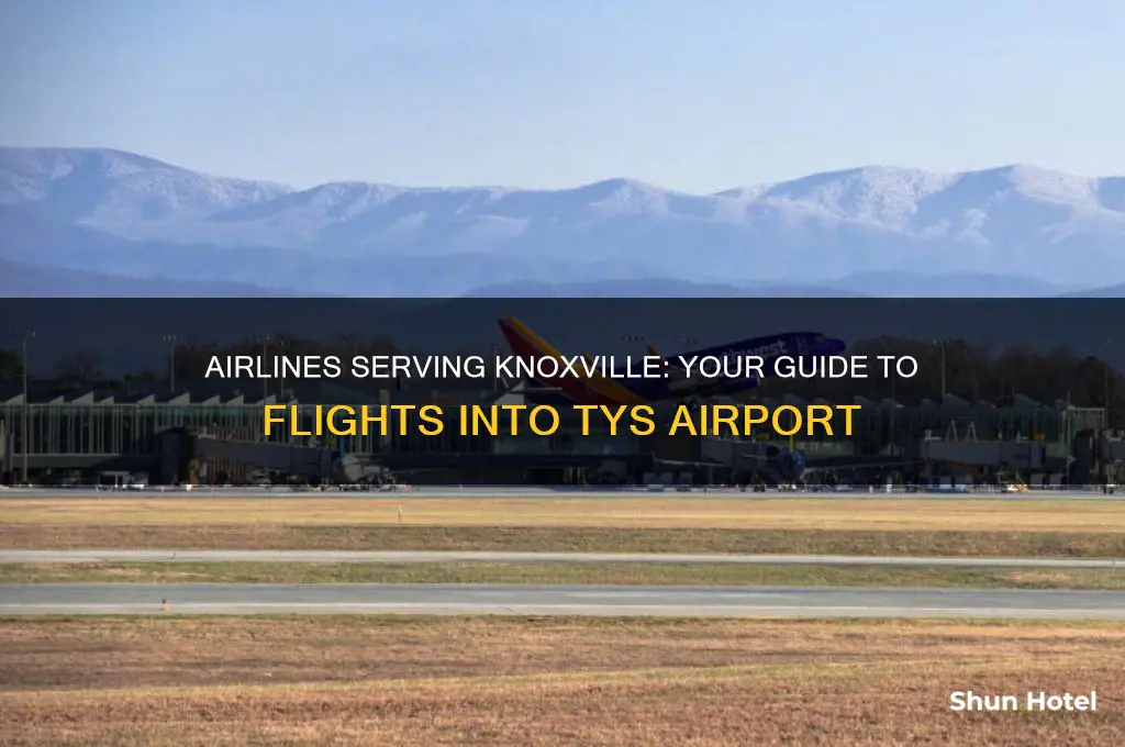 what airlines fly into knoxville airport