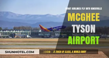 Airlines Serving Knoxville: McGhee Tyson Airport Flight Options Revealed