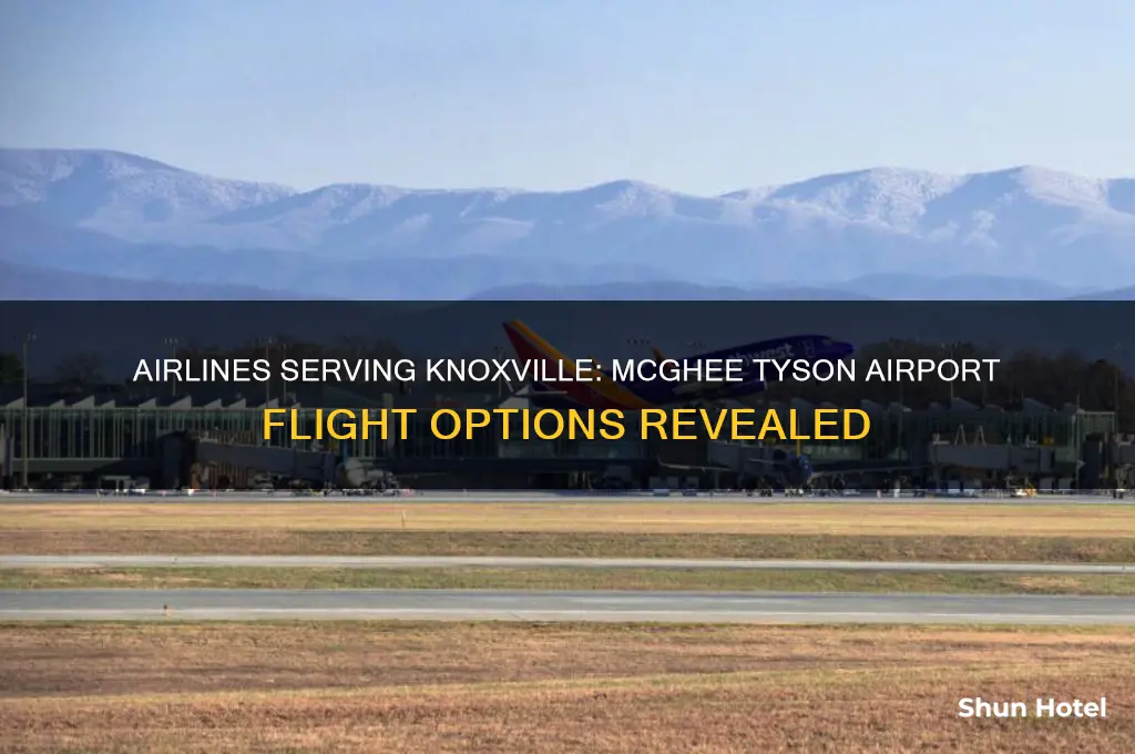 what airlines fly into knoxville mcghee tyson airport