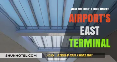 Airlines Serving Lambert Airport's East Terminal: Your Comprehensive Guide