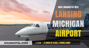 Airlines Serving Lansing, Michigan: Your Complete Flight Guide