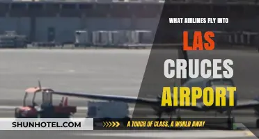 Airlines Serving Las Cruces Airport: Your Comprehensive Flight Guide